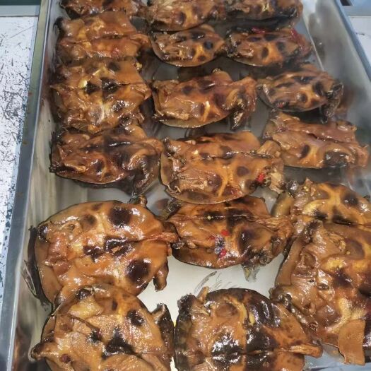 洪湖市6－8两的温室甲鱼，专做麻辣甲鱼规格