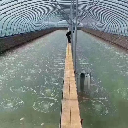 天津养殖大棚