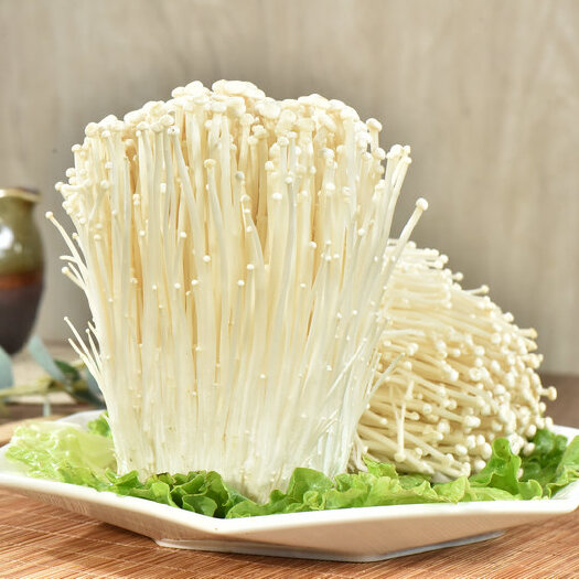 惠来县 白金针菇  一手货源 品质好 价格优