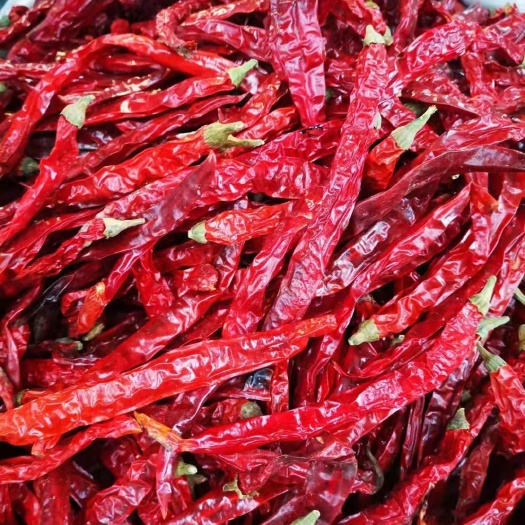 重庆市贵州海椒  二荆条