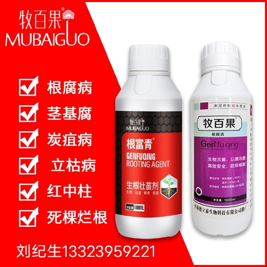 漯河土壤微生物菌剂  防根腐 炭疽 红中柱 青枯 枯萎 茎基腐