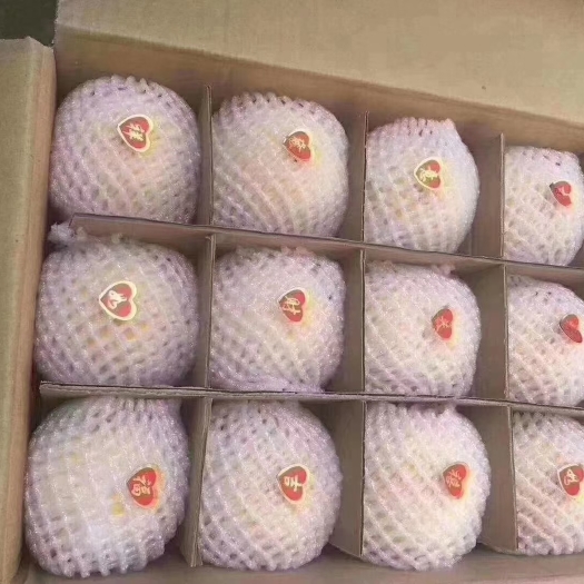 岐山县黄金蜜 黄桃