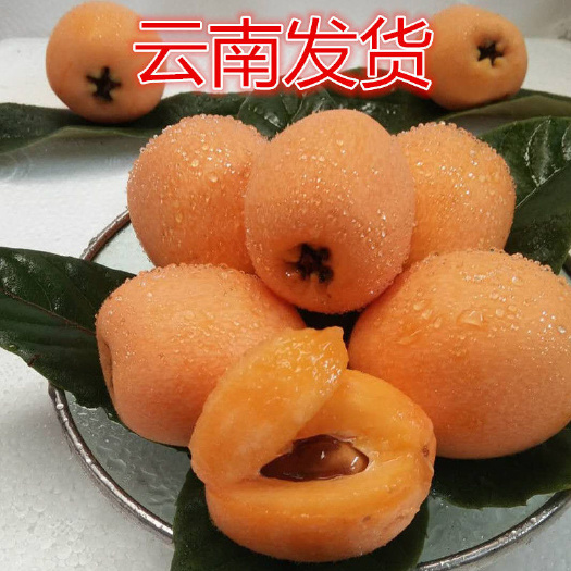 蒙自市云南，蒙自大枇杷