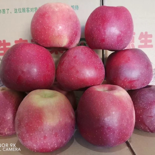 昭通嘎啦苹果  云南昭通正宗冰糖心丑苹果新鲜水果当季红富士脆甜孕妇小孩食用