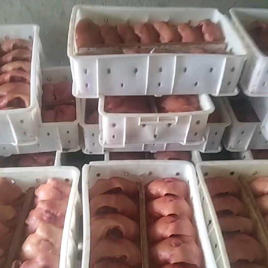 沈阳生鲜超市采购，熟食连锁店，猪头肉，猪副产品