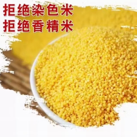 萝北县小米，新米上市，黄金小米