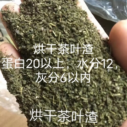 石家庄干草 烘干茶叶渣