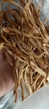 庆阳 黄花菜