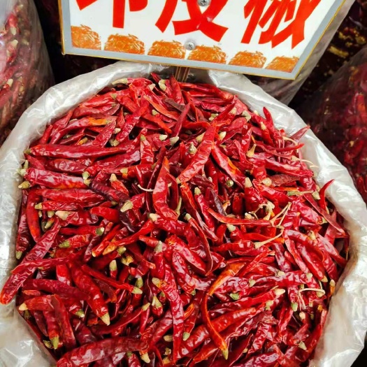 重庆市魔鬼辣椒  印度椒  魔鬼椒
