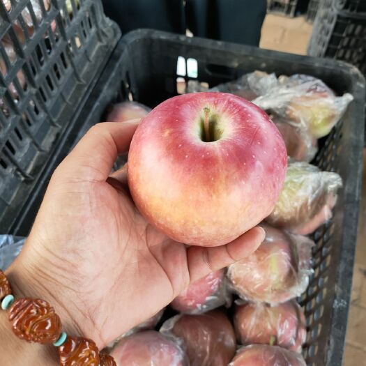 晋州市红星苹果，中秋佳品，口感脆甜，颜色全红，果形好，价格优惠