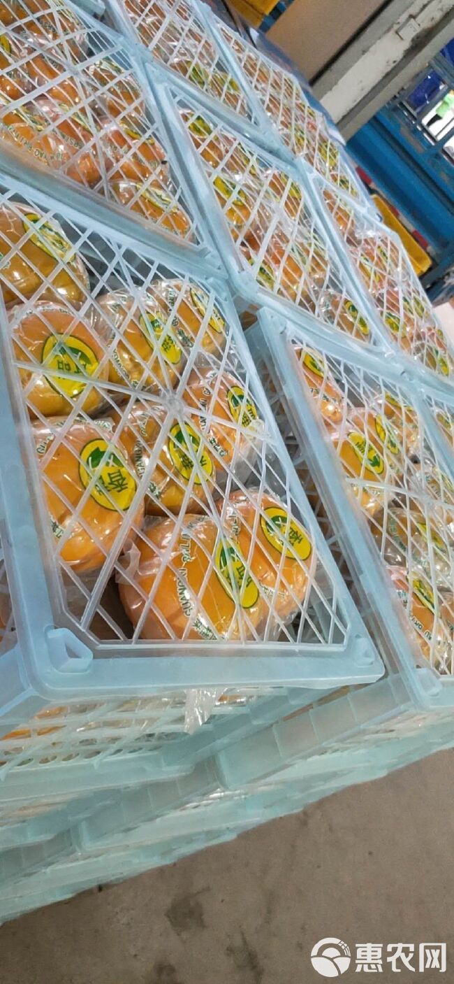 广西恭城瑶山甜柿子真空包装，单果精品包装甜脆柿子