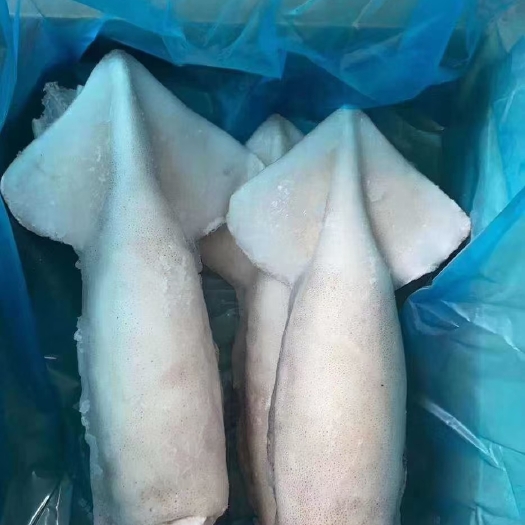 荣成市鱿鱼  单冻阿鱼