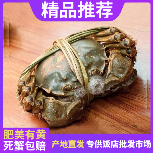 【精品推荐】湖北大闸蟹清水螃蟹2公3母各种规格质量保证