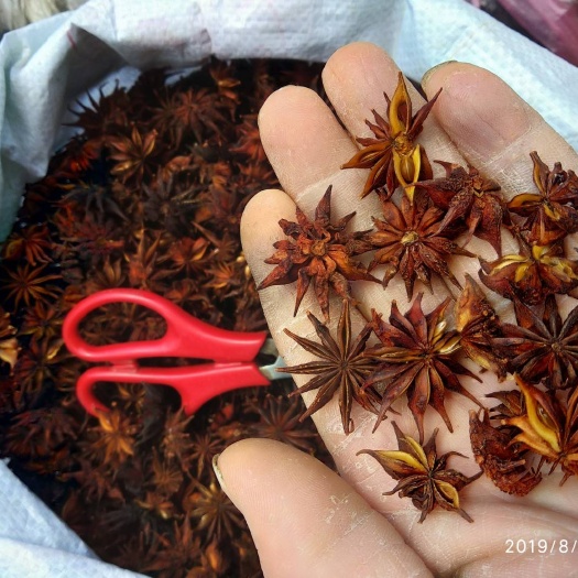 石阡县贵州铜仁非食用野生药材钓鱼醉鱼药用八角干品无杂质产地直发