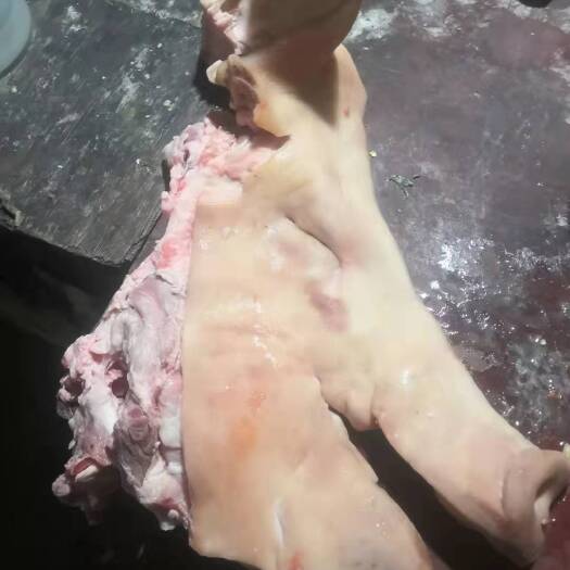 猪肉类 剔骨干净猪头肉 看品质说话  量大从优