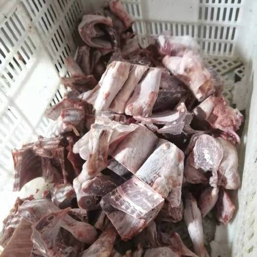 秦皇岛羊排  全羊切块  7元一斤 大量现货每月20吨 全国发货
