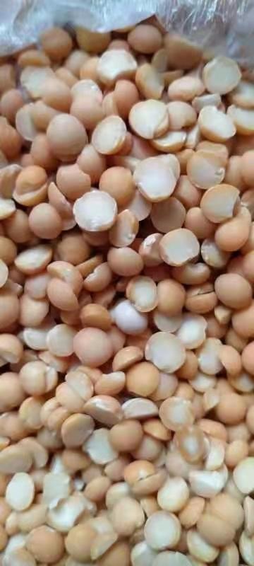 招远市黄豆瓣 豌豆瓣，精选品质 大量现货