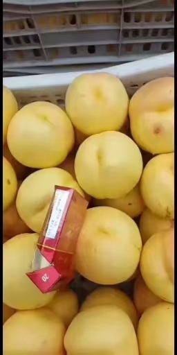 大名县黄金黄桃  时黄果，黄桃批发零售