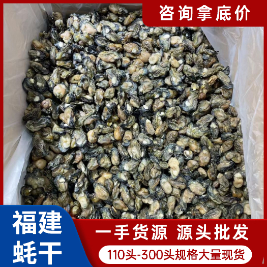 霞浦县牡蛎干  源头供应福建蚝干海蛎干110-300头规格大量现货