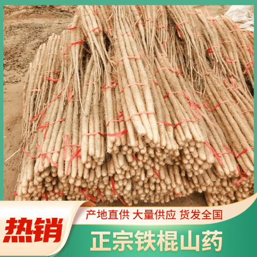 铁棍山药，货发全国，一吨起批！大型基地，产地直销