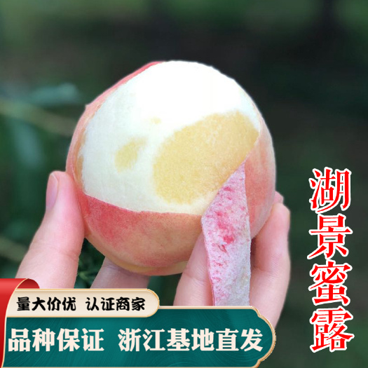 嵊州市湖景蜜露桃树苗  湖景蜜露水蜜桃苗 宁波奉化水蜜桃苗嫁接苗