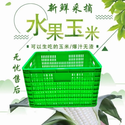 塑料筐  全新熟料打造蔬菜，水果，鸡鸭运输周转箩筐，厂家直销欢迎订购。