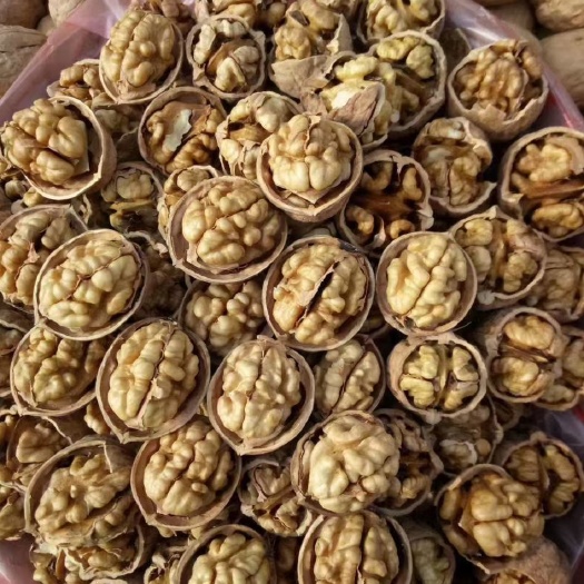 中牟县薄皮核桃  185纸皮核桃，皮薄肉厚，包邮到家