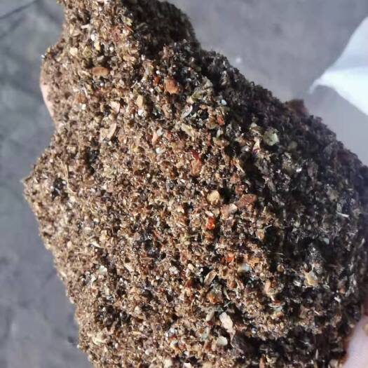 海兴县饲料枣粉  枣粉是以优质的金丝小枣为原料，枣粉含糖量高，适口性好