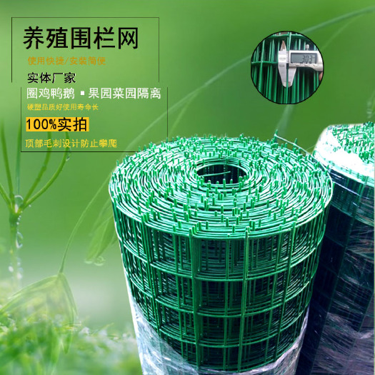 批发荷兰网小孔养鸡防老鼠圈山地围栏网拦鸡鸭鹅绿色不生锈铁丝网