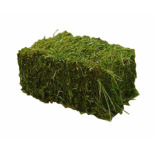 邹平市苜蓿草饲料 苜蓿草捆