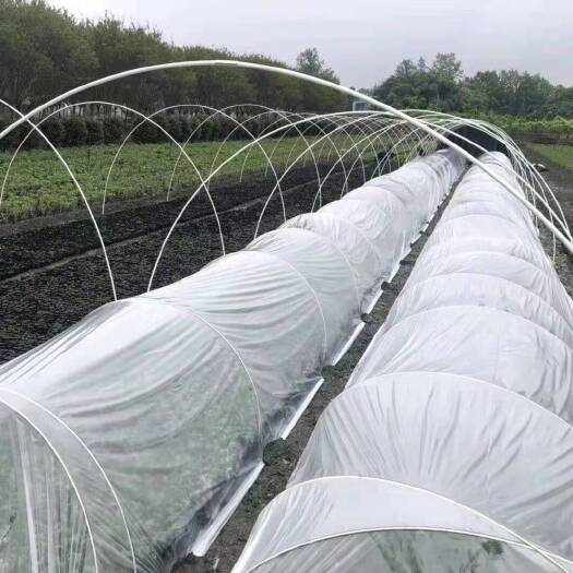 东莞市小拱棚杆 大棚杆  菜棚保温棚花棚拱玻纤杆农用小大拱棚支架玻璃纤维杆棒