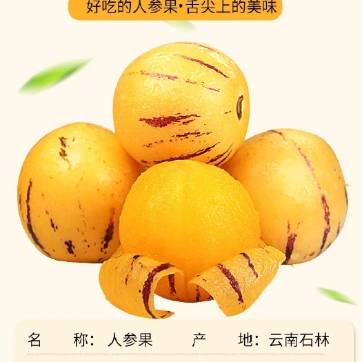 会泽县 云南石林人参果
