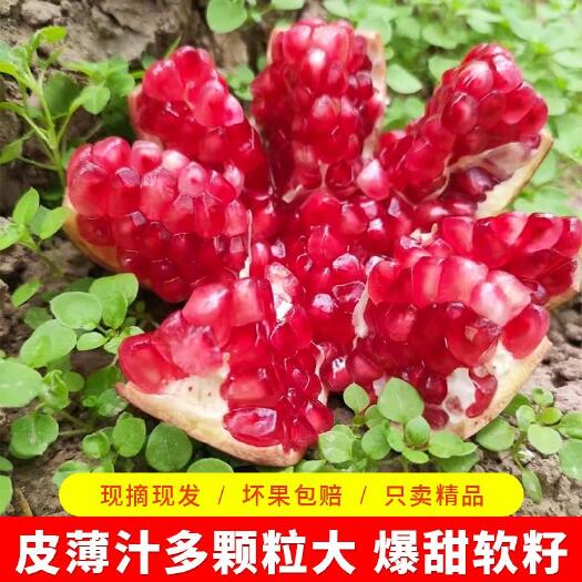 荥阳市河南荥阳突尼斯软籽石榴基地现摘新鲜应季水果精品1级果