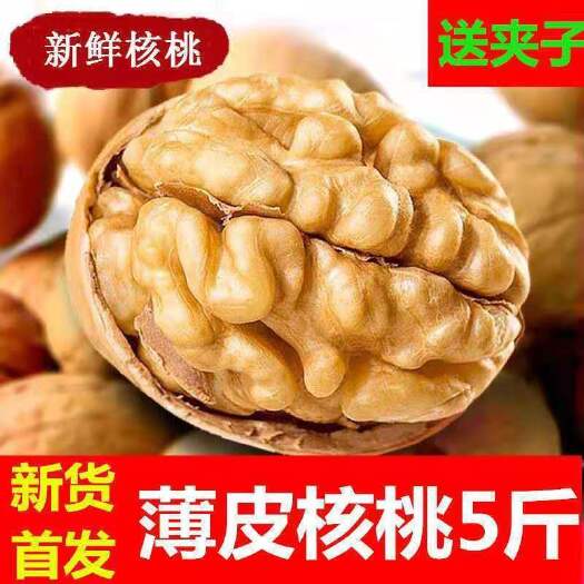 顺丰包邮 薄皮核桃 清香核桃  量大从优