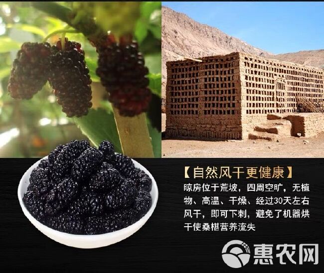 桑葚干不用洗无沙黑桑葚干 食用桑椹干泡茶酒