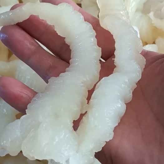 深圳泡发靓货猪筋，花胶量大，价格美丽。全国发货