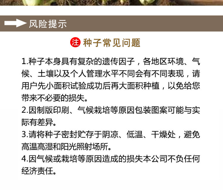 小白菜种子  四季奶油小白菜， 阳台菜园纤维少叶菜种子 蔬菜种子