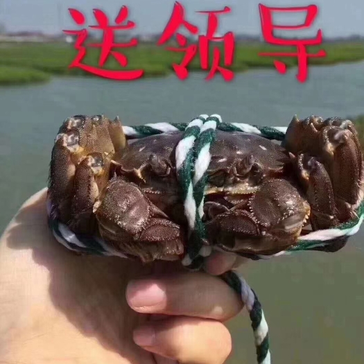 兴化市大闸蟹