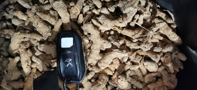罗平县缅甸姜黄80吨
