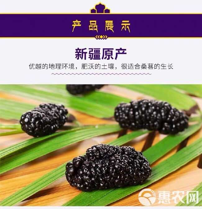 桑葚干不用洗无沙黑桑葚干 食用桑椹干泡茶酒