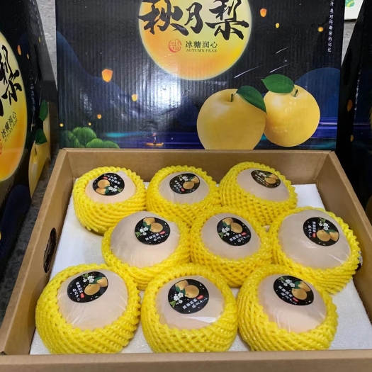 砀山县冰糖秋月梨礼盒装新鲜水果日本引种千玥梨甜梨脆梨包邮