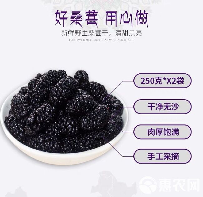 桑葚干不用洗无沙黑桑葚干 食用桑椹干泡茶酒