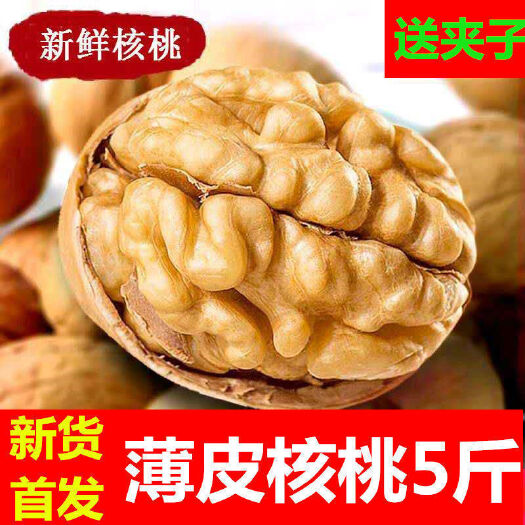 太原新货新疆薄皮核桃阿克苏孕妇零食坚果核桃批发