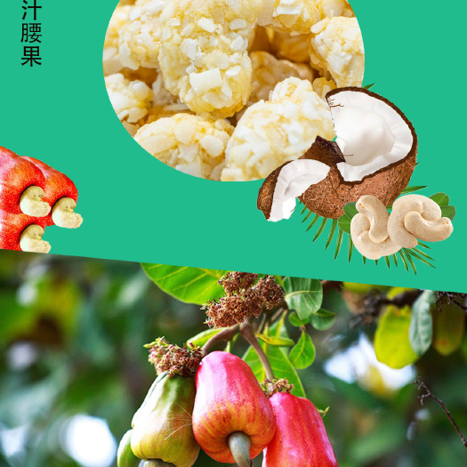 景洪市椰味腰果