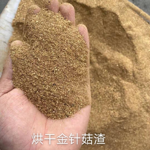 石家庄金针菇渣  烘干金针菇