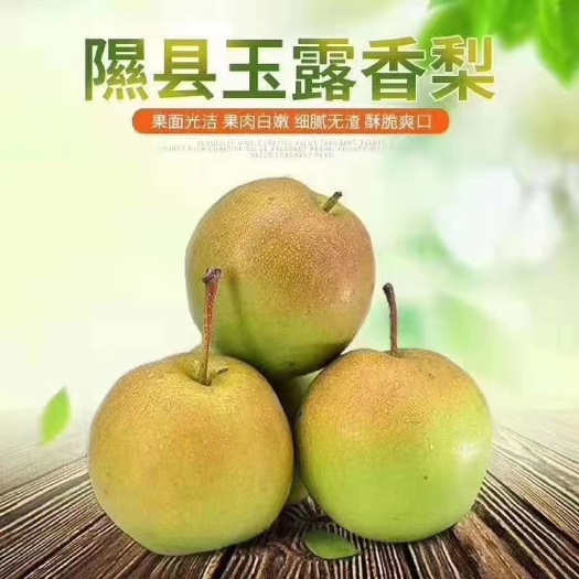 隰县山西隰县玉露香梨，汁多，皮薄
