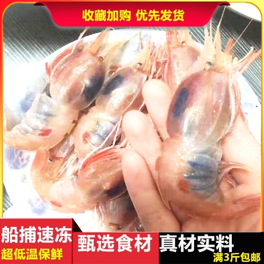 北海 南海北部湾海域蝴蝶虾，深海美食可刺身