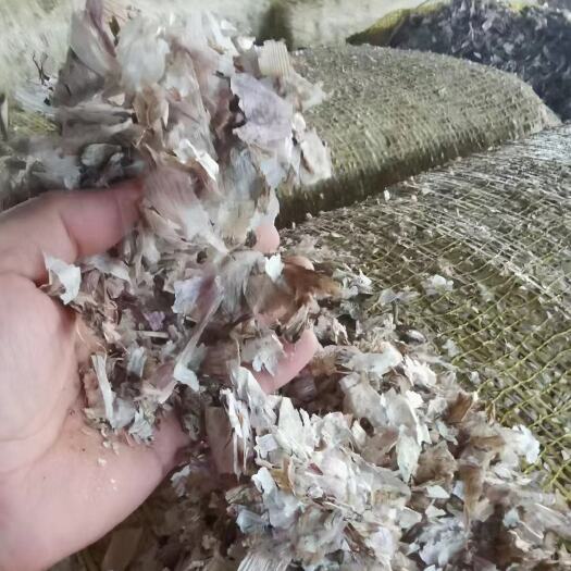 石家庄压缩大蒜皮