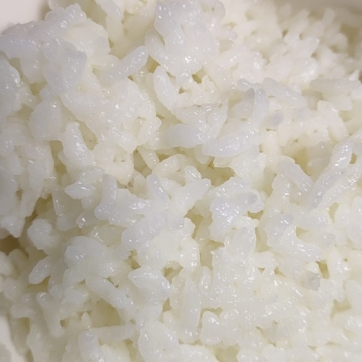 秦皇岛粳米 老头种的大米，新磨