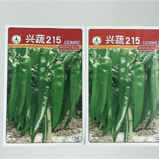 兰考县兴蔬215辣椒种子 中熟长牛角形 果直 青果绿 抗病 耐高温